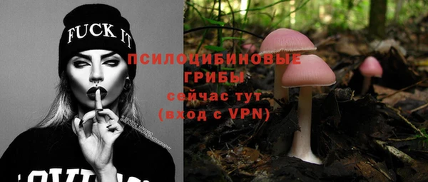 мет Алексин