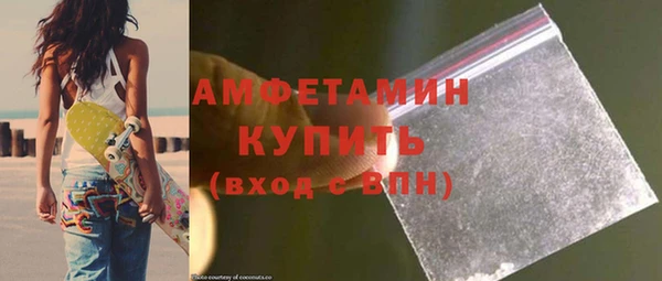 мет Алексин