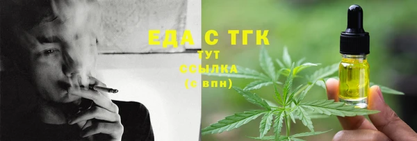 мет Алексин